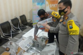 Kebijakan ekspor benih lobster perlu dikaji ulang