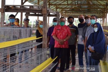 WVI inisiasi perluasan kemitraan peternak ayam di Palu dan Sigi