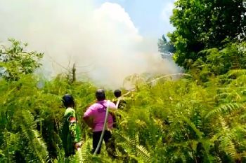 Kebakaran lahan di Kotim mulai meningkat