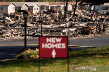Dampak kebakaran hutan di Oregon