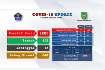 Gugus Tugas Batam: Pasien COVID-19 bertambah 67 orang