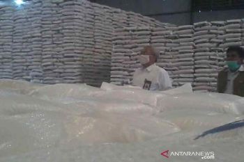 Bulog:  Empat daerah di Sulteng sudah salurkan bansos beras PKH