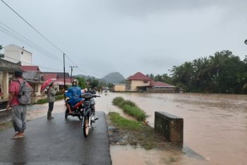 Sejumlah nagari di Pesisir Selatan dilanda  banjir