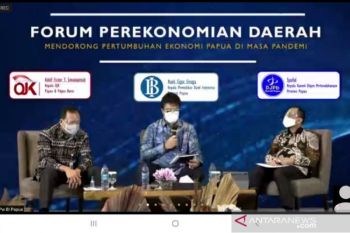 BI Papua klaim stabilitas keuangan daerah berada di tingkat yang aman