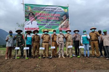 Bupati Morowali Utara pimpin gerakan tanam jagung hibrida