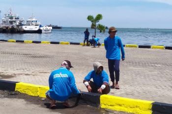 PT Pelindo IV rangkul 100 TKBM lakukan padat karya