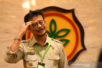 Mentan gunakan drone tabur benih di lahan lumbung pangan