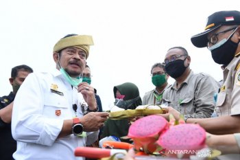 Mentan sasar peluang pengembangan ekspor produk hortikultura di Kepri