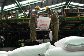 Stok pupuk subsidi aman