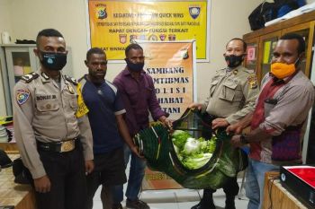 Petani tradisional Tolikara sumbang sayur untuk personel polisi