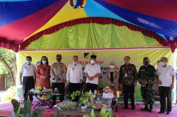 Pemkab Buol siap sukseskan program gerakan diversifikasi pangan lokal