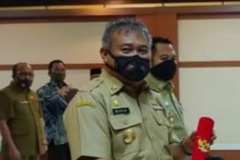 Bawaslu Mamuju diminta tindak ASN berpolitik di pilkada