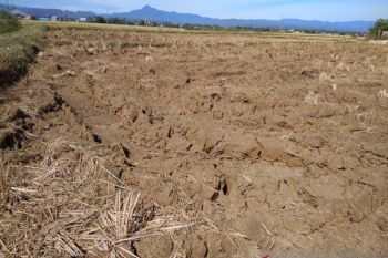 BMKG sebut puncak kemarau di Sulsel terjadi pada akhir September