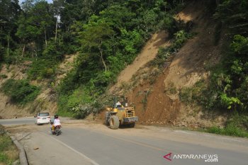 Pembersihan material longsor kebun kopi