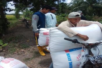 Harga gabah Mesuji capai Rp4.500/kg