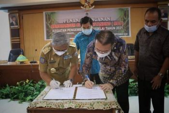 Pemprov Sulbar mulai kembangkan tanaman kedelai 50.000 hektare