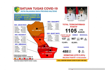 17 pasien COVID-19 di Palangka Raya dinyatakan sembuh