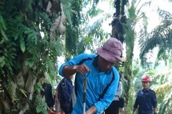 Inovasi mahasiswa IPB raih juara satu kompetisi komersialisasi riset dan teknologi