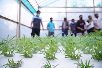 Pemprov Sulsel perketat pengawasan bantuan pupuk dan bibit