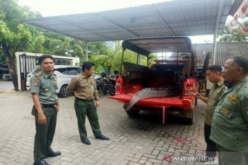 Buaya serang dan tewaskan nelayan  di Banyuasin