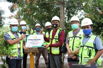 Mifa Bersaudara kembangkan budidaya madu kelulut Trigona SP di Aceh Barat