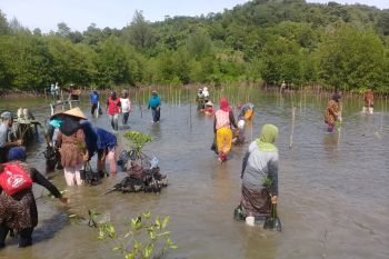 Kementerian Perikanan dan Kelautan RI bantu pengembangan Ekowisata manggrove Aceh Jaya