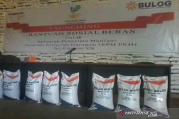 Bulog Sulteng  siapkan stok beras 6.982 ton bansos PKH