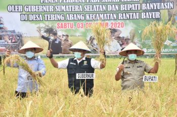 Pemprov Sumsel dorong peningkatan  produksi beras Kabupaten Banyuasin