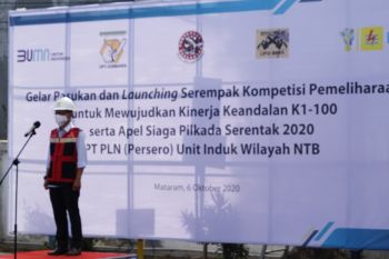 17 persen gangguan listrik karena pohon, PLN gelar kompetisi pemeliharaan