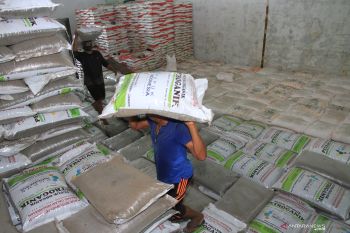 Realisasi penyaluran pupuk subsidi Petrokimia Gresik capai 82 persen di Sulsel