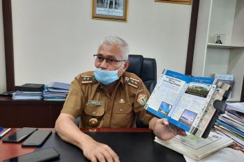 Ali Mazi gagas membangun jembatan Teluk Kendari sejak 2003