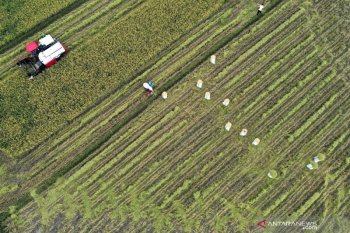 PAD Sulawesi Tenggara terealisasi 50,48 persen September 2020