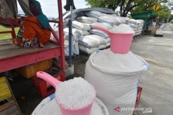 Dampak minim produksi garam di Palu
