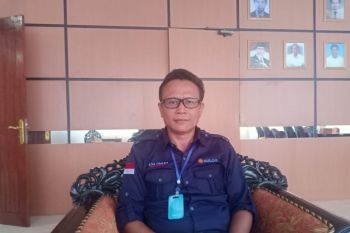 Bulog Papua siap beli 24.500 ton beras hasil petani di Merauke