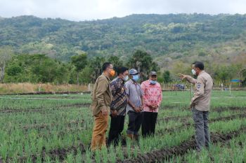 Kabupaten Kepulauan Selayar menuju mandiri bawang merah