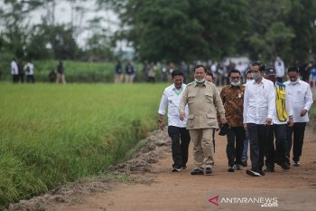 Kementan adakan bimtek petani "food estate" Kalteng