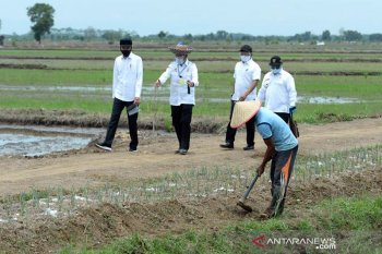 Mentan tegaskan lumbung pangan di Kalteng terapkan teknologi pertanian modern