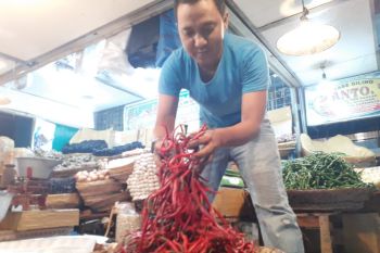 Harga cabai merah naik di Pasar Raya Padang