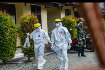 Pasien COVID-19 di Sulteng yang sembuh bertambah jadi 355 orang