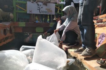 Pemkot Mataram sulap saluran air jadi tempat wisata ikan koi