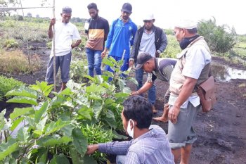 Terkait penerima CPCL, Kelompok Tani pertanyakan Kades Pakning Asal