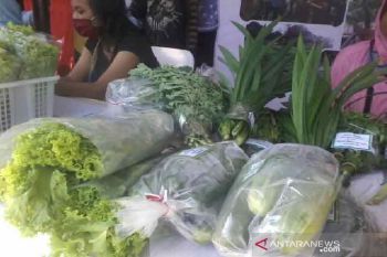 Pemkab Sigi gencarkan program p2l  tingkatkan ekonomi masyarakat