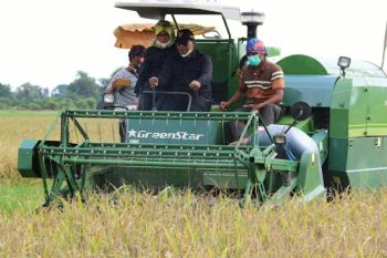 Food estate rangsang minat generasi muda bekerja di bidang pertanian