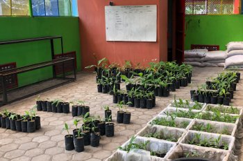 Kebun Plasma Nutfah Pisang Yogyakarta membuka layanan akhir pekan