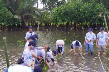 FT Unhas tanam 6.000 bibit mangrove di Lakkang Tallo