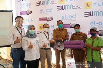 PLN luncurkan Program Layanan Petik Bawang Merah bagi petani di Enrekang