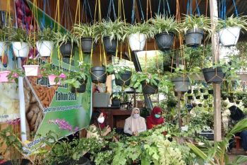 Kaltara bertekad wujudkan industrialisasi pangan lokal