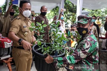 Pemkot Bogor dorong pengembangan sektor pertanian perkotaan