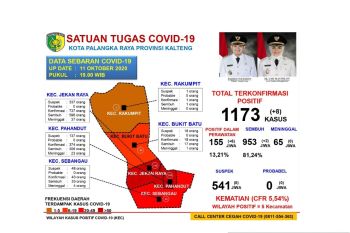 Sebanyak 155 pasien COVID-19 Palangka Raya masih jalani perawatan