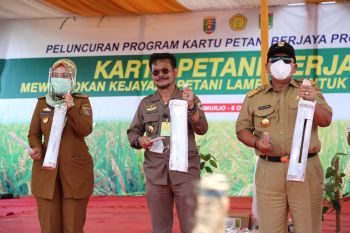 Gubernur: Sektor pertanian harus berdampak pada kesejahteraan petani